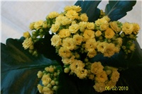 b292dd58-Picture 069.jpg